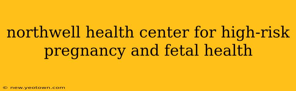 northwell health center for high-risk pregnancy and fetal health