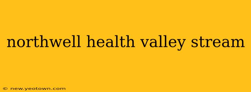 northwell health valley stream