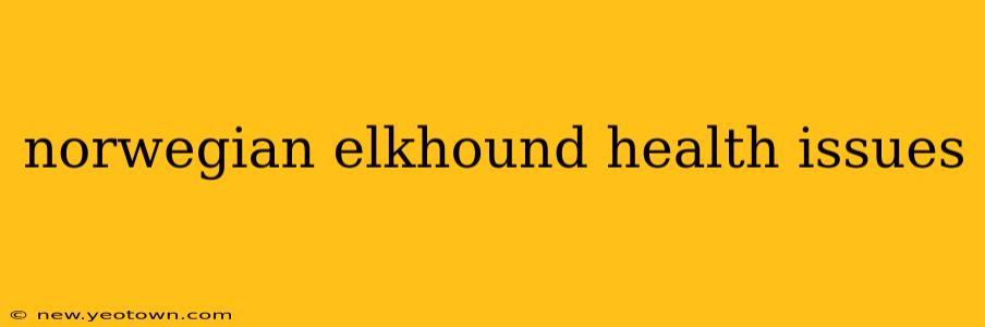 norwegian elkhound health issues