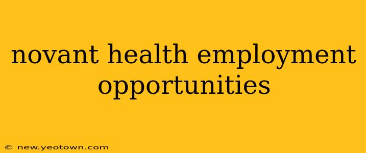 novant health employment opportunities