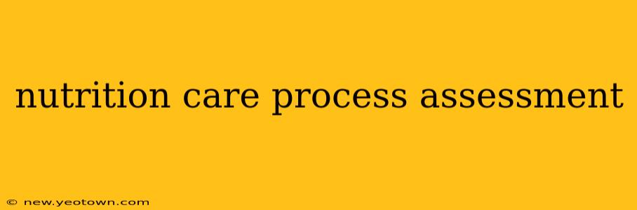 nutrition care process assessment