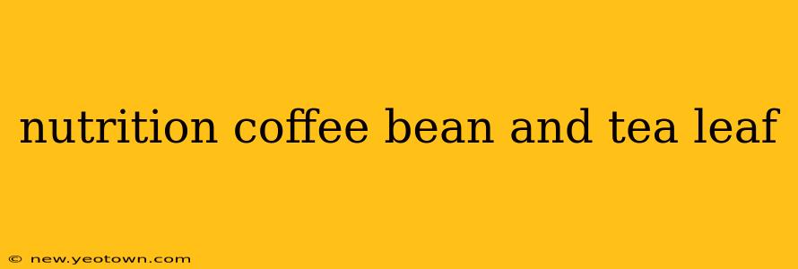 nutrition coffee bean and tea leaf
