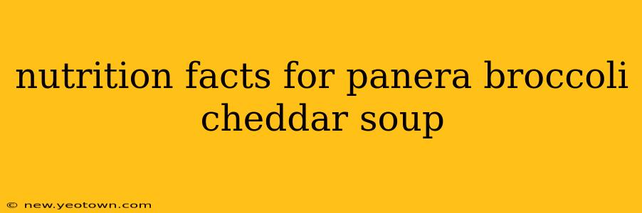 nutrition facts for panera broccoli cheddar soup