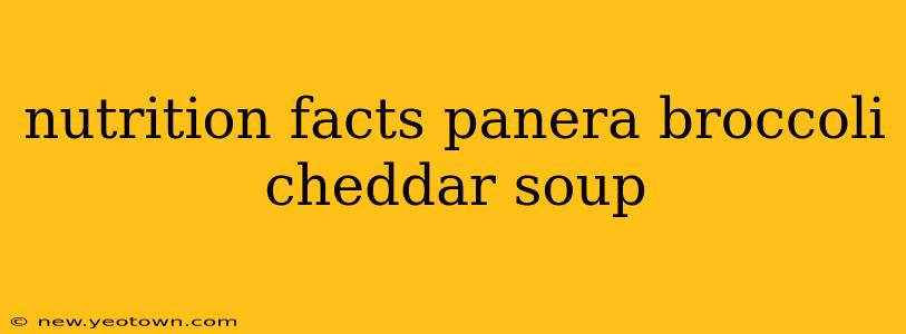 nutrition facts panera broccoli cheddar soup