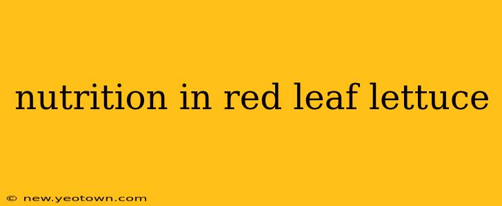 nutrition in red leaf lettuce