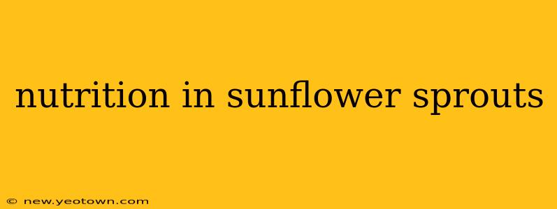 nutrition in sunflower sprouts