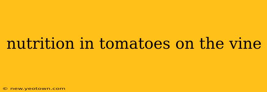 nutrition in tomatoes on the vine