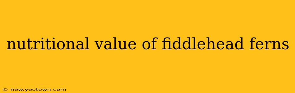 nutritional value of fiddlehead ferns