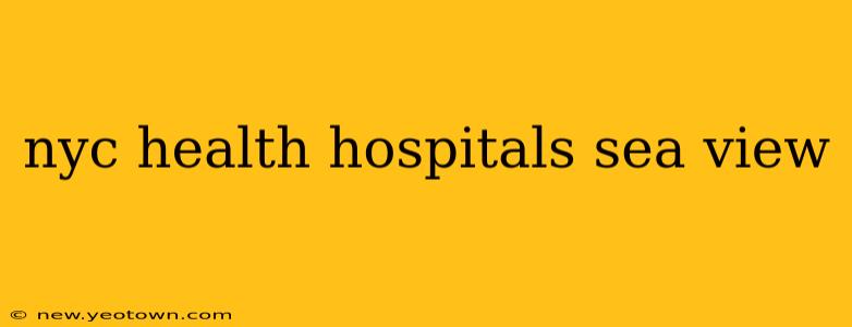 nyc health hospitals sea view