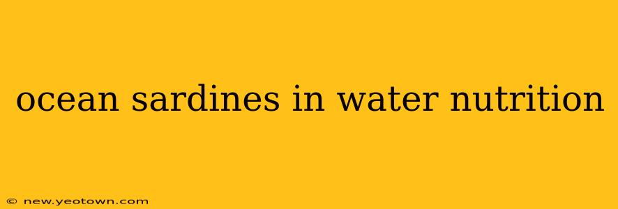 ocean sardines in water nutrition