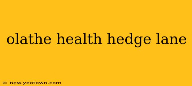 olathe health hedge lane