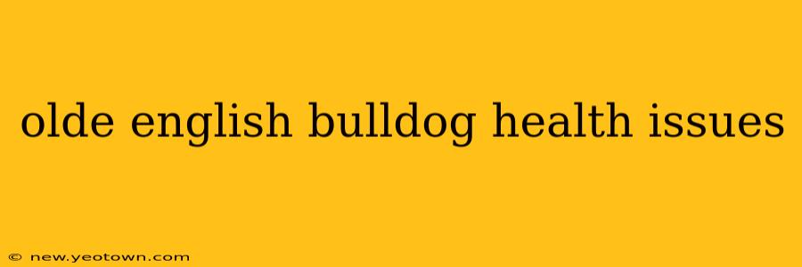 olde english bulldog health issues