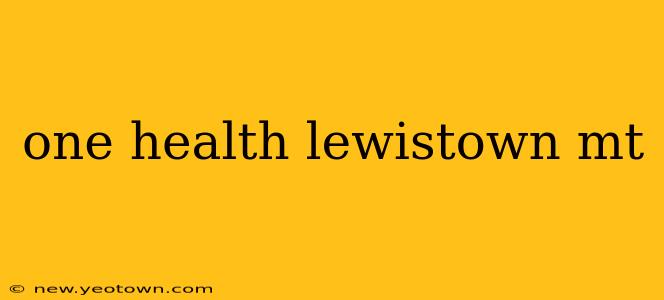one health lewistown mt