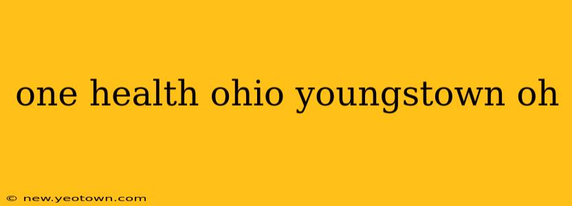 one health ohio youngstown oh