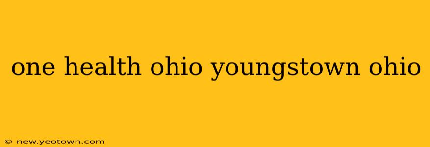 one health ohio youngstown ohio