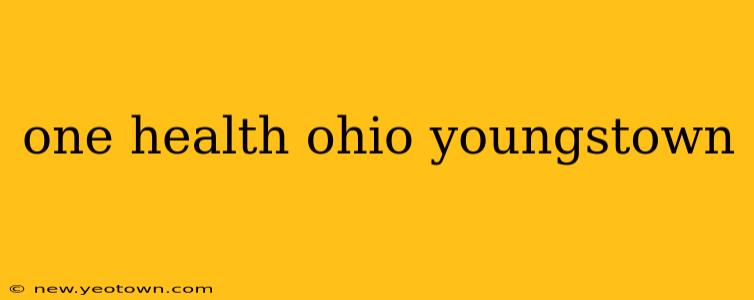 one health ohio youngstown