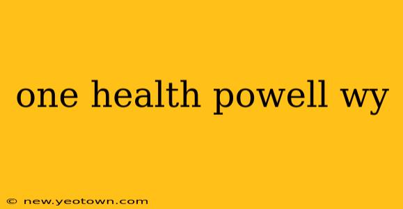 one health powell wy