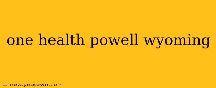 one health powell wyoming