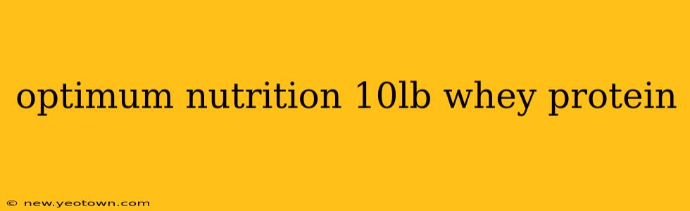 optimum nutrition 10lb whey protein