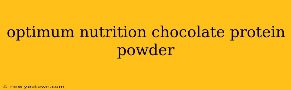 optimum nutrition chocolate protein powder