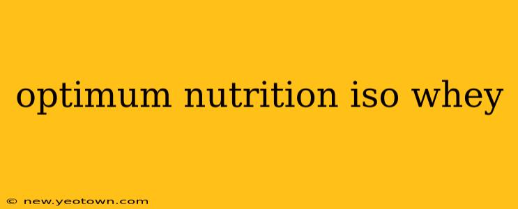 optimum nutrition iso whey
