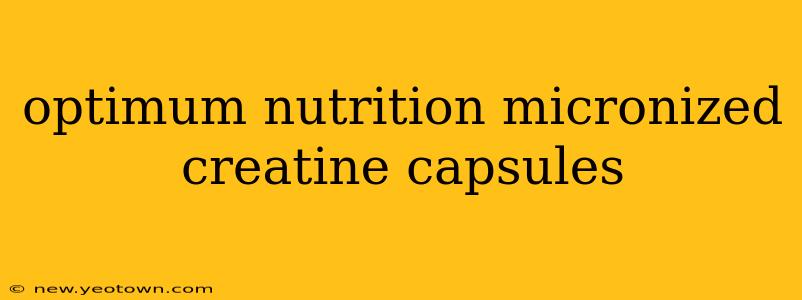 optimum nutrition micronized creatine capsules