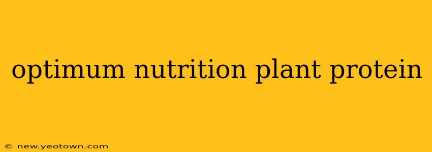 optimum nutrition plant protein