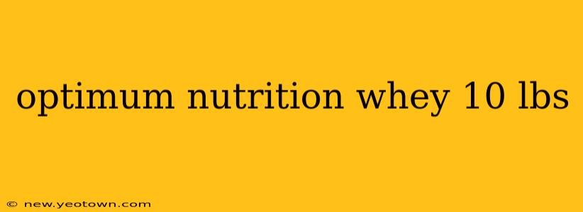optimum nutrition whey 10 lbs