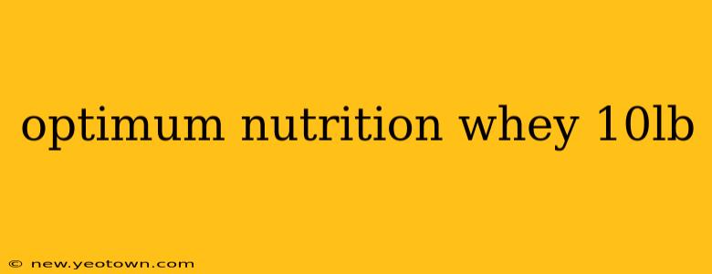 optimum nutrition whey 10lb