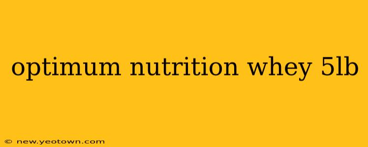 optimum nutrition whey 5lb