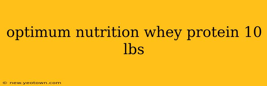 optimum nutrition whey protein 10 lbs
