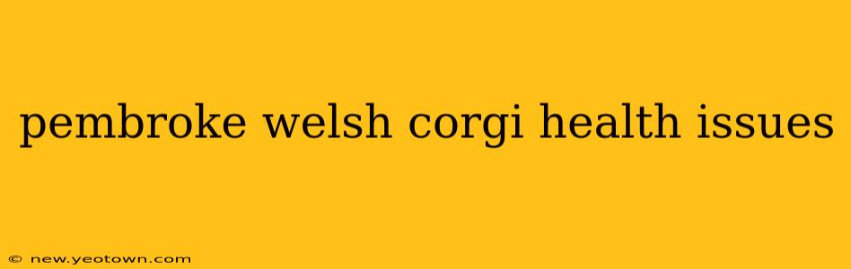 pembroke welsh corgi health issues