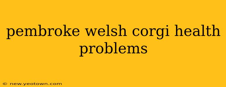 pembroke welsh corgi health problems