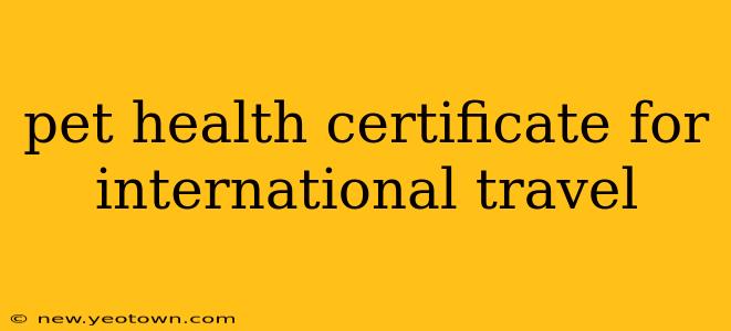 pet health certificate for international travel