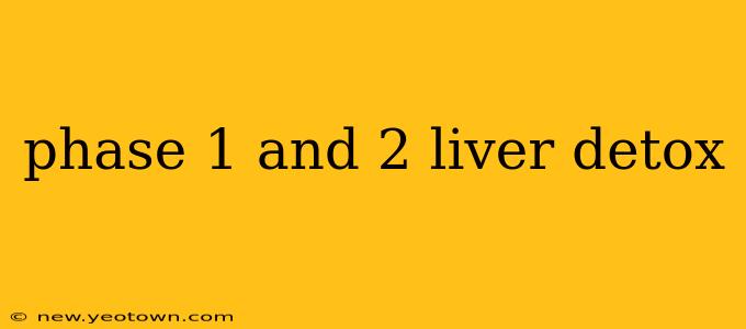 phase 1 and 2 liver detox
