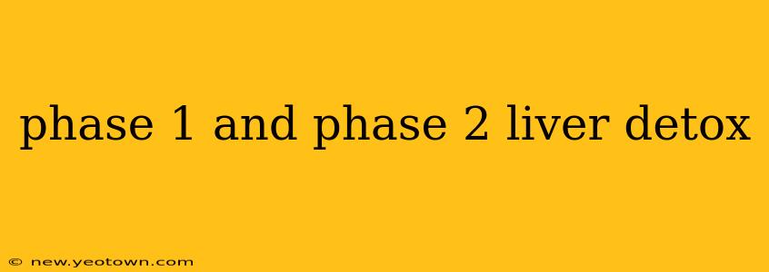 phase 1 and phase 2 liver detox