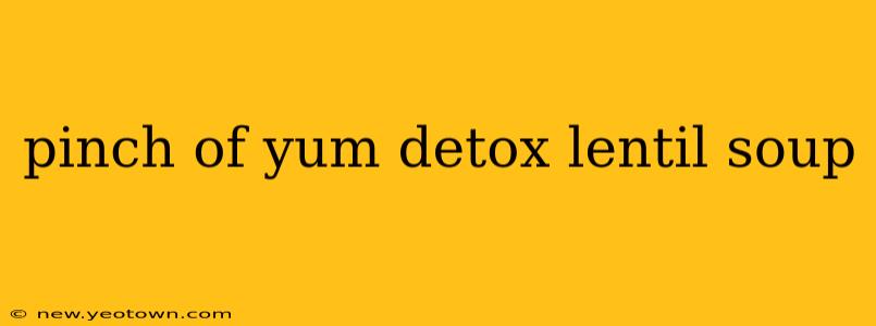 pinch of yum detox lentil soup