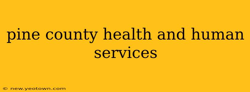 pine county health and human services
