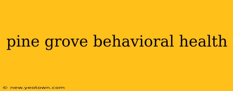 pine grove behavioral health