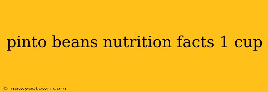 pinto beans nutrition facts 1 cup