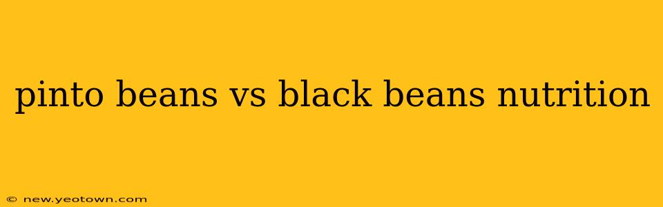 pinto beans vs black beans nutrition