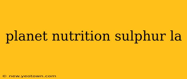 planet nutrition sulphur la