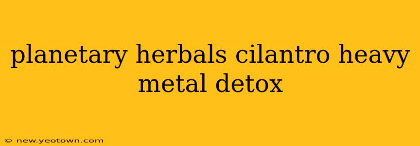 planetary herbals cilantro heavy metal detox