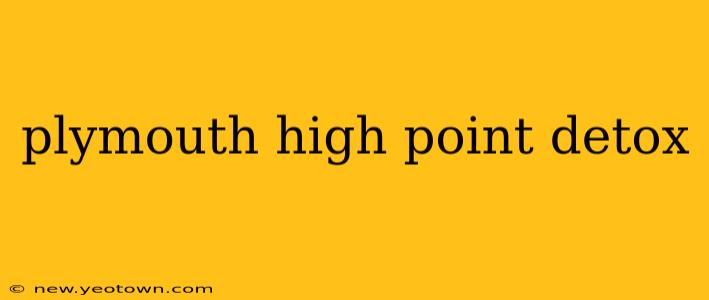 plymouth high point detox