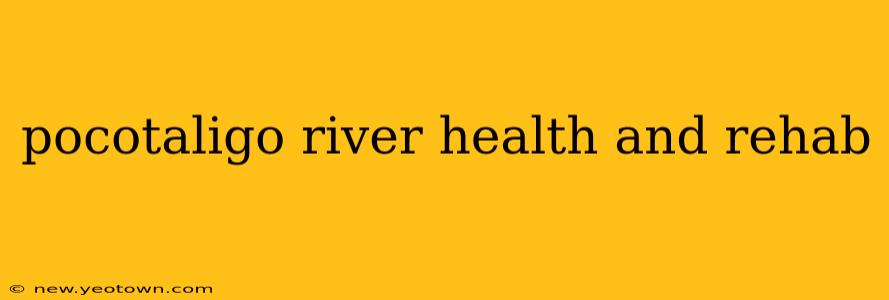 pocotaligo river health and rehab