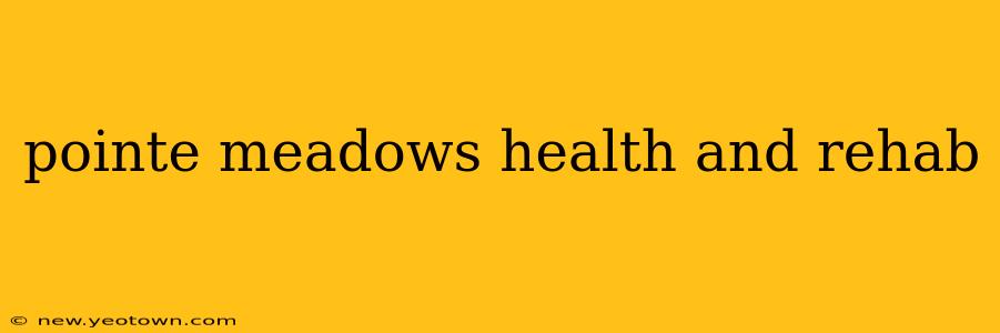 pointe meadows health and rehab