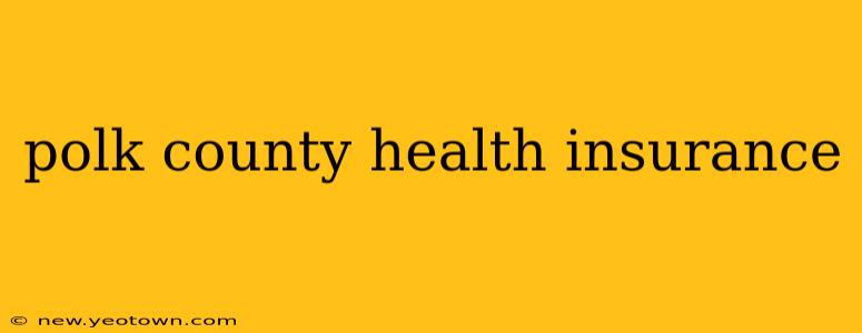 polk county health insurance
