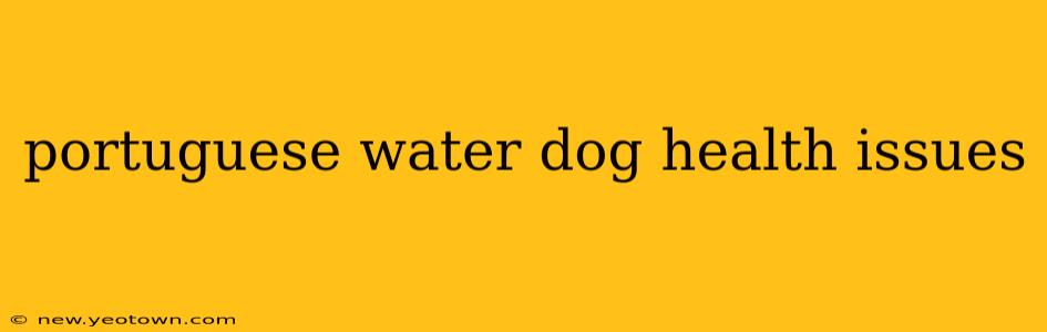 portuguese water dog health issues