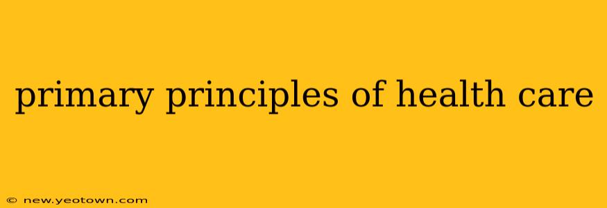 primary principles of health care
