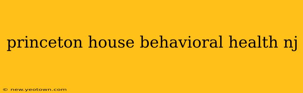 princeton house behavioral health nj